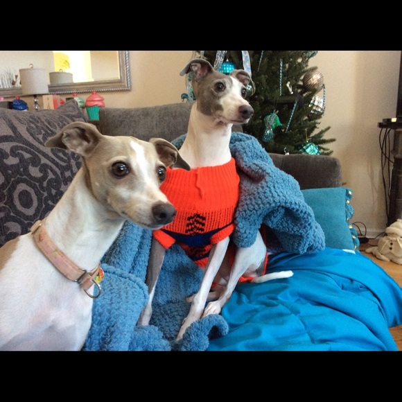 Meet your Posher, Joyce - Picture 2 of 3